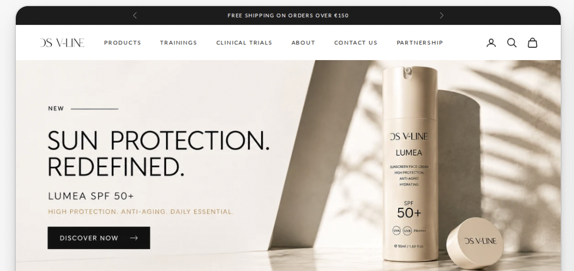 DSVLINE Shopify Webdesign Case Study