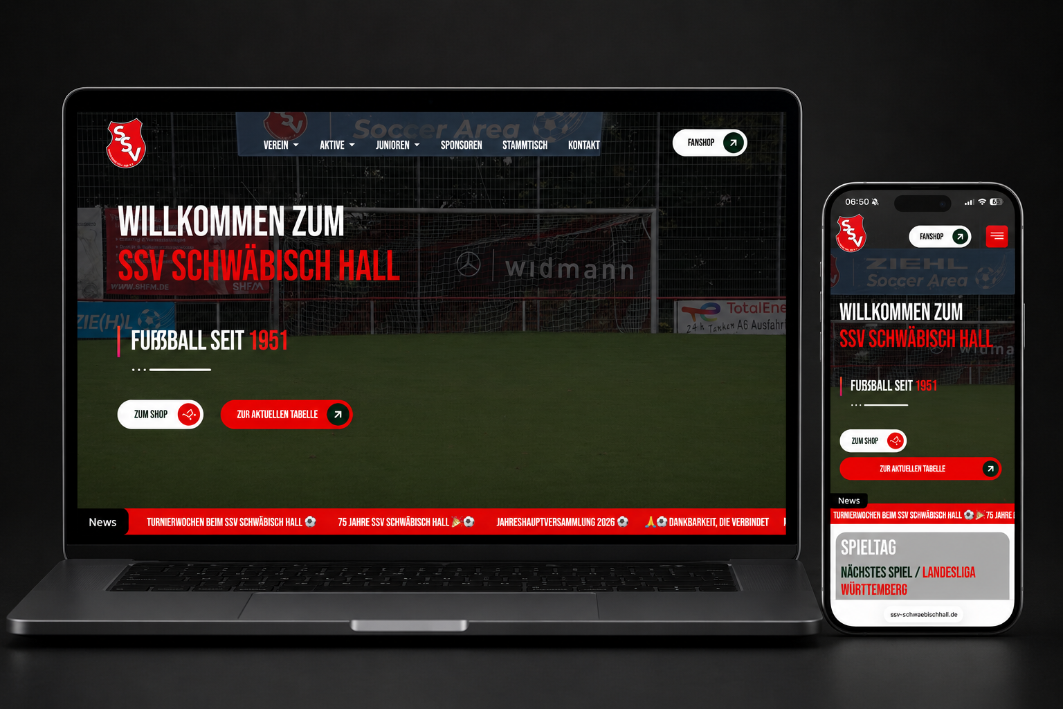 DSVLINE Shopify Webdesign Case Study